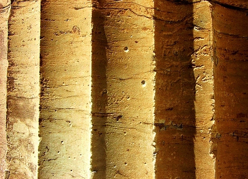 flutings of the Parthenon columns
