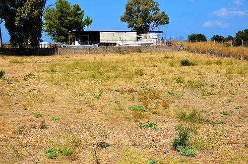 archaeological site Manika