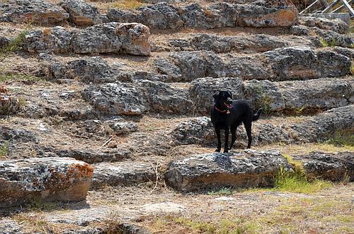 Eretria ancient theatre