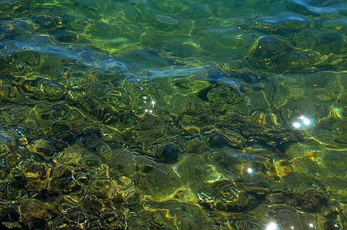 water in the harbour