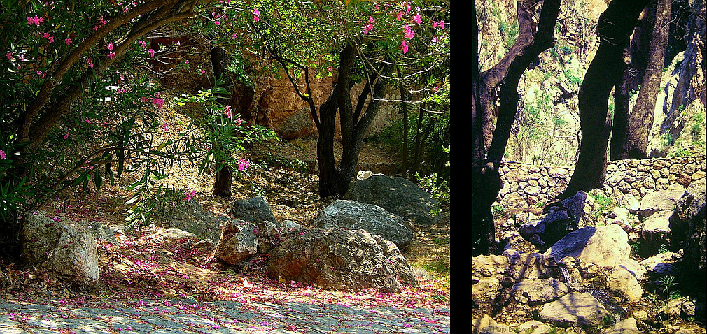 Castalian Spring Delphi