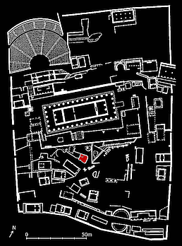 plan of Delphi