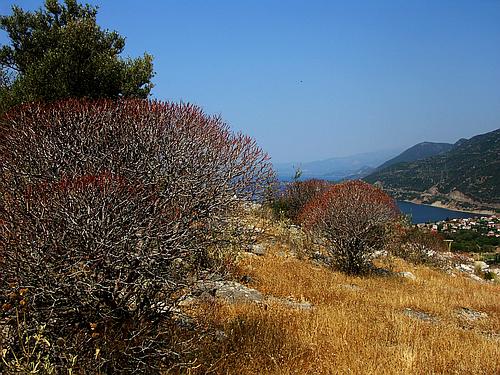 view from ancient Glypha
