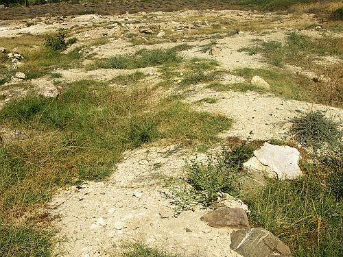 Agia Fotia Minoan cemetery
