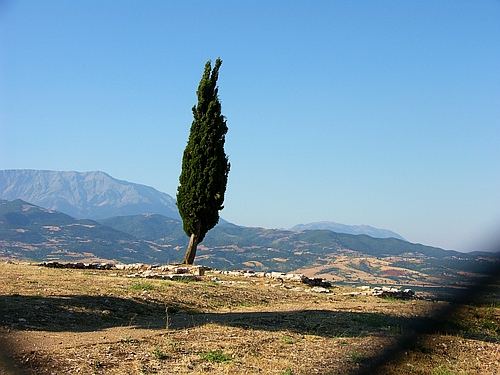 Chalandritsa Mycenaean settlement