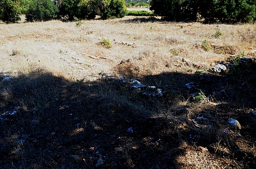 Classical Agiorgitika