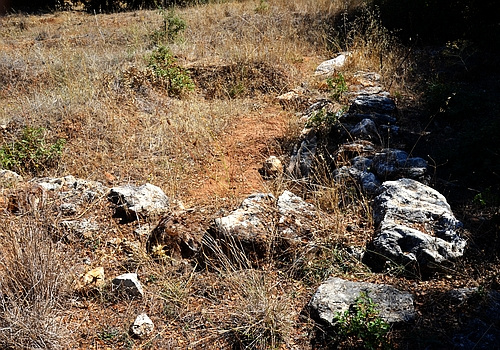 Classical Agiorgitika