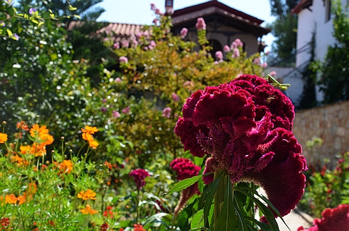 Loukou monastery garden