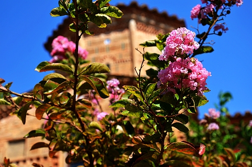 Loukou monastery garden