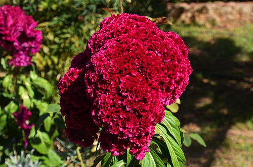 Loukou monastery garden