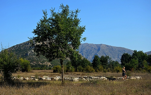 grave of Epaminondas