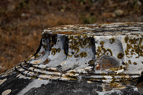 Doric column capital