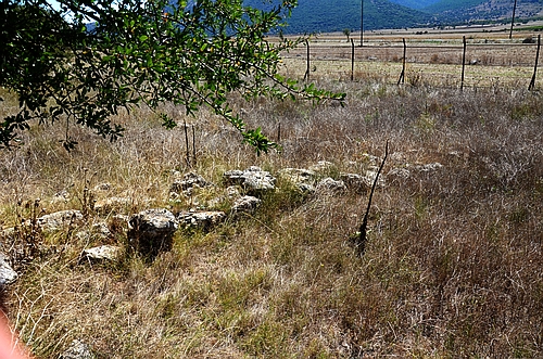 Mycenaean settlement Orchomenos