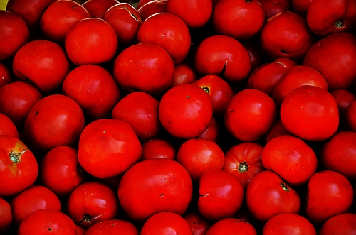 tomatoes