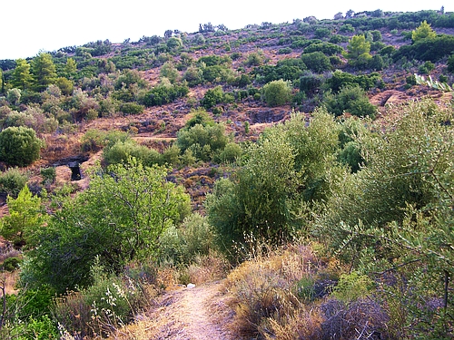 Mycenaean necropolis Barbouna