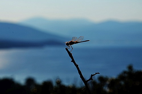 view from Barbouna hill