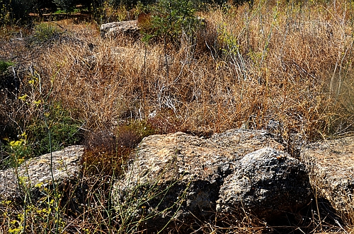 fundaments of ancient tower