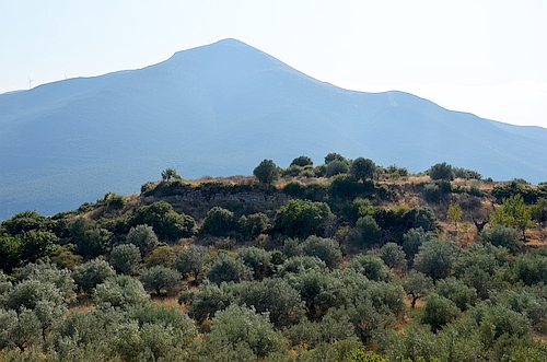 view to ancient Hysiai