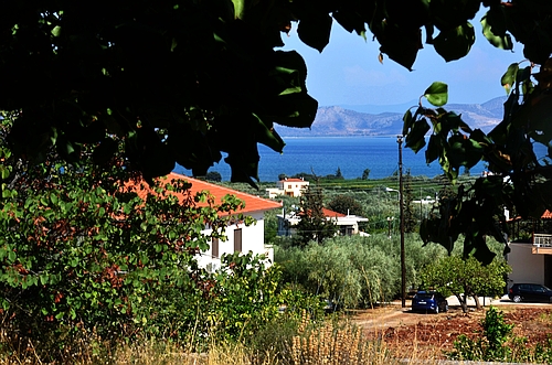 vie to the Argolic Gulf