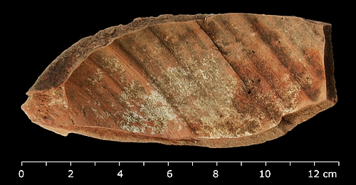 sherd