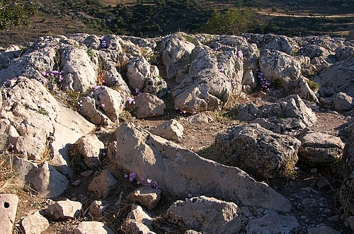 in the Eastern Acropolis of Mycenae