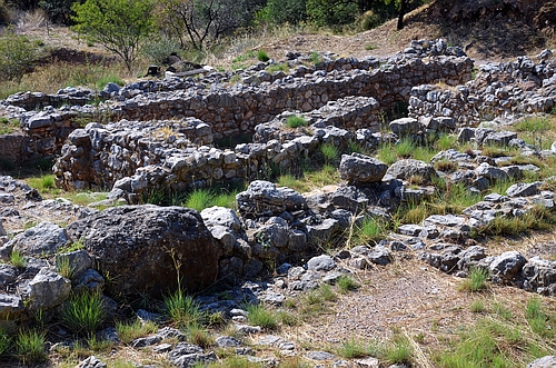 Oil-merchant House group