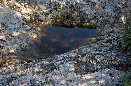 puddles at the Mycenaean bridge