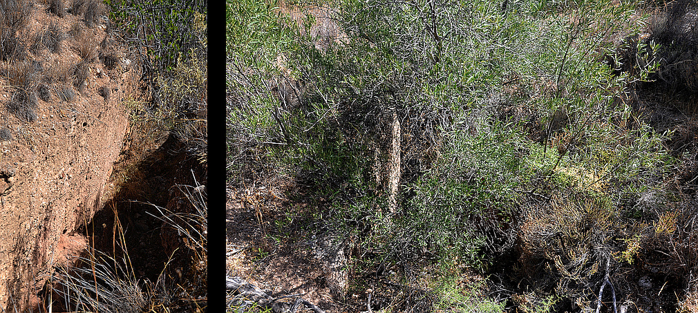 Agios Georgios chamber tomb