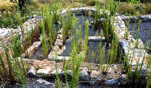 church of Saint Theodoroi
