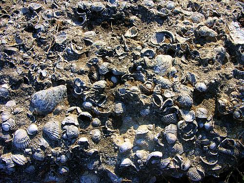 Skillountia temple of Athena