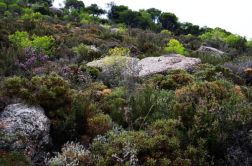 boulders in landscape