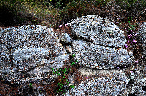 Cyclopean wall