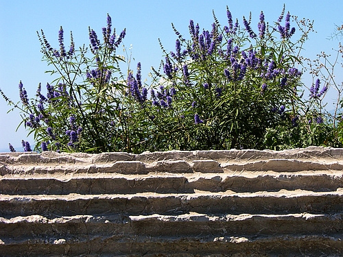 columns in landscape