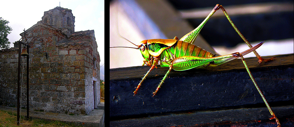 church and grasshopper