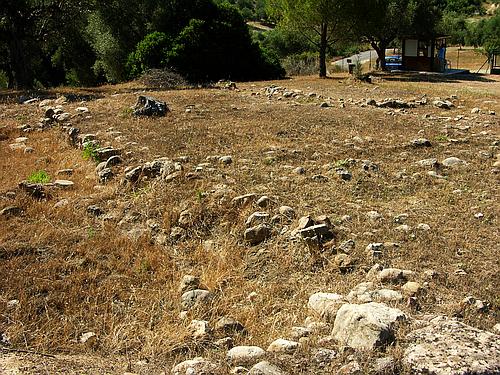 Peristeria prehistoric fundaments